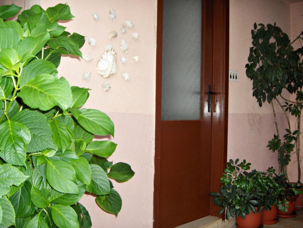 Guest House Roza วรอสกา ห้อง รูปภาพ