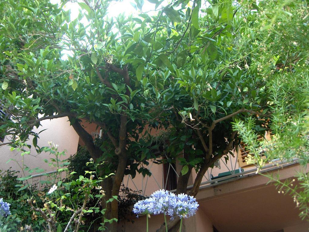 Guest House Roza วรอสกา ห้อง รูปภาพ