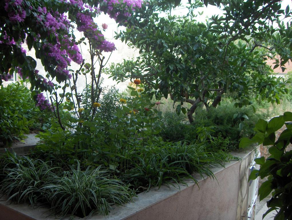Guest House Roza วรอสกา ห้อง รูปภาพ
