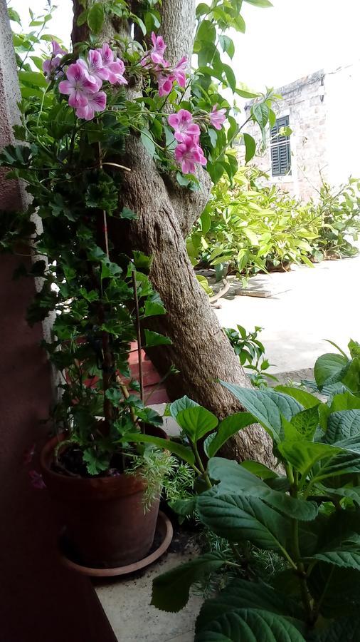 Guest House Roza วรอสกา ภายนอก รูปภาพ