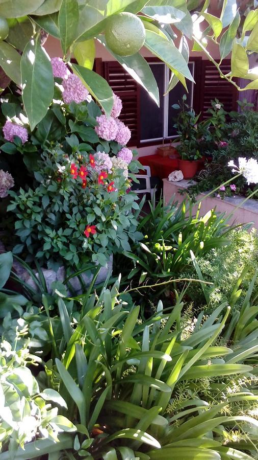 Guest House Roza วรอสกา ภายนอก รูปภาพ