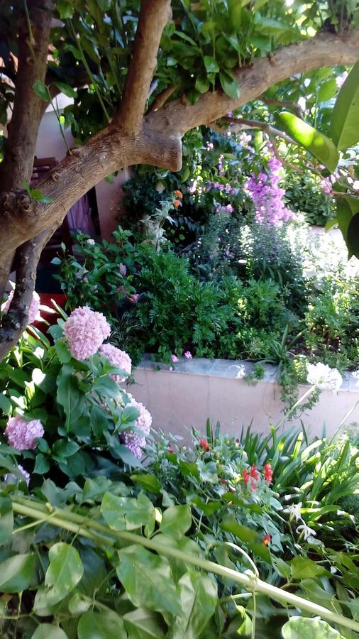 Guest House Roza วรอสกา ภายนอก รูปภาพ