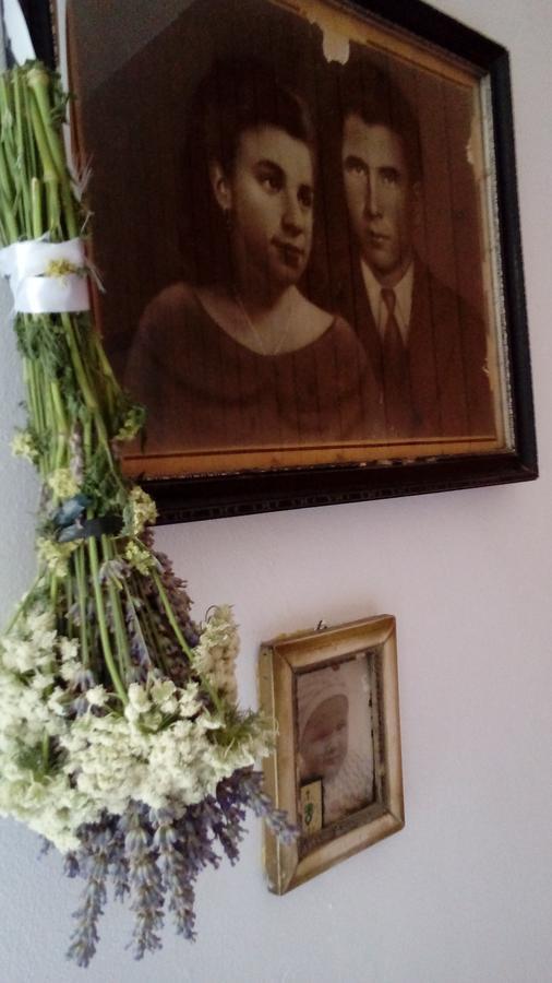 Guest House Roza วรอสกา ภายนอก รูปภาพ
