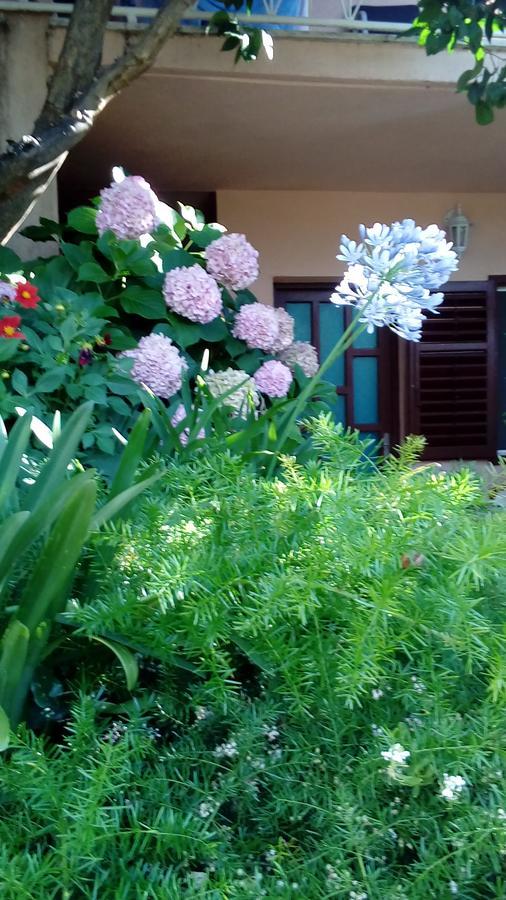 Guest House Roza วรอสกา ภายนอก รูปภาพ